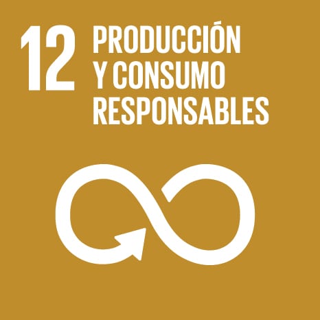 12. Producción y consumo responsable